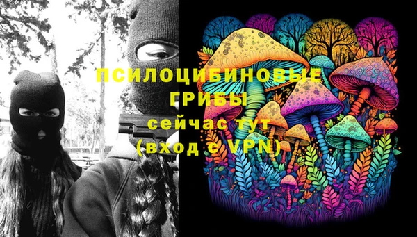 каннабис Арсеньев
