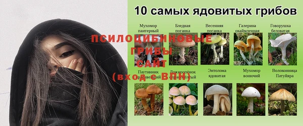 круглые Армянск