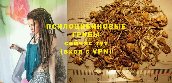 каннабис Арсеньев