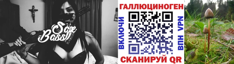 даркнет наркотические препараты  Светлогорск  Псилоцибиновые грибы мицелий 